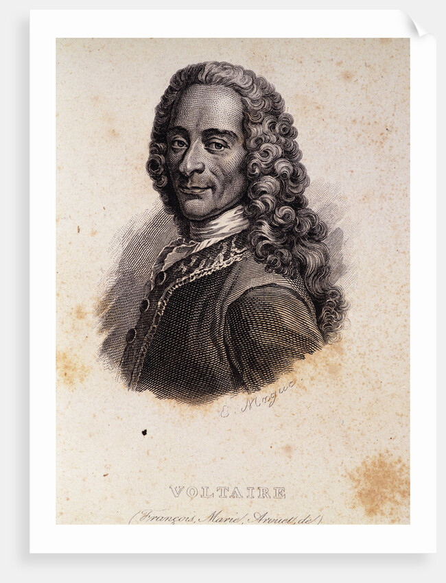 Portrait of Voltaire by Anonymous