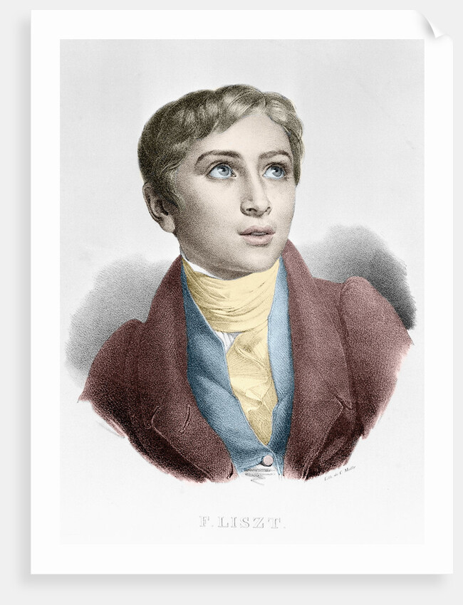 Franz Liszt as a Boy by Anonymous
