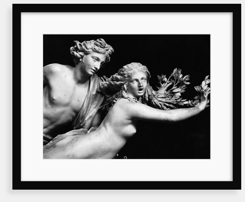 Bernini'S Sculpture Of Apollo & Daphne by Anonymous