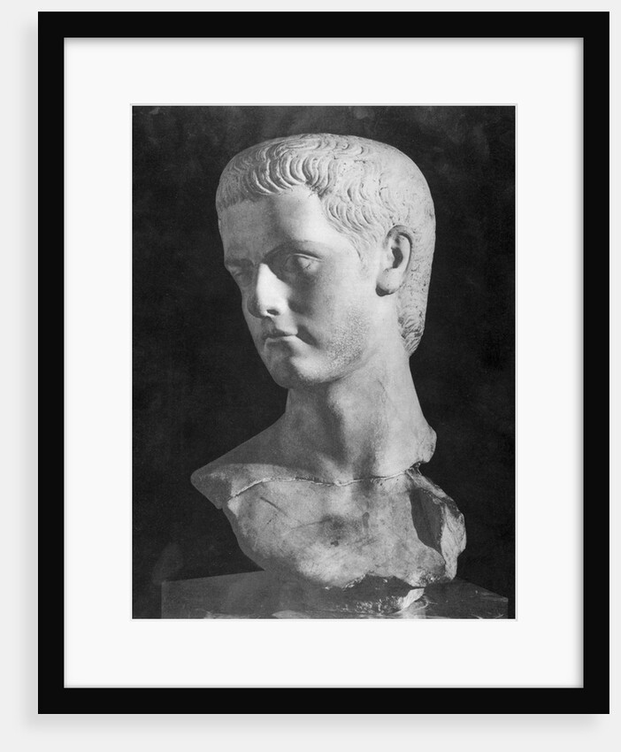 Bust of Roman Ruler Caligula by Anonymous