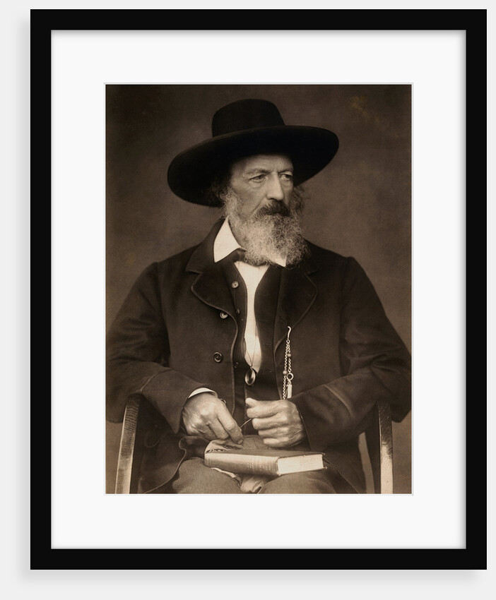 Alfred Tennyson by Anonymous
