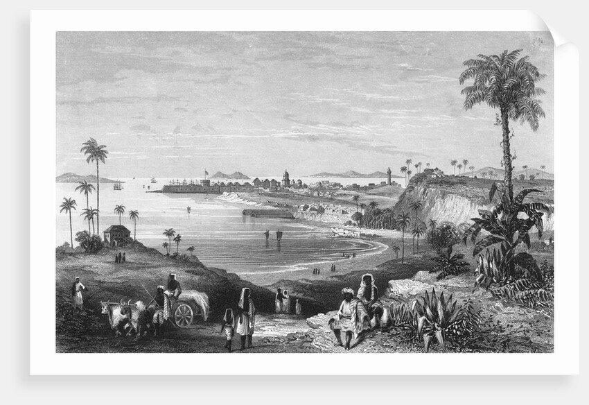 Bombay Citizens Along Shoreline by Anonymous