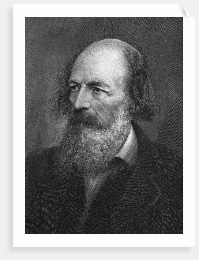 Portrait of Alfred Lord Tennyson by Anonymous
