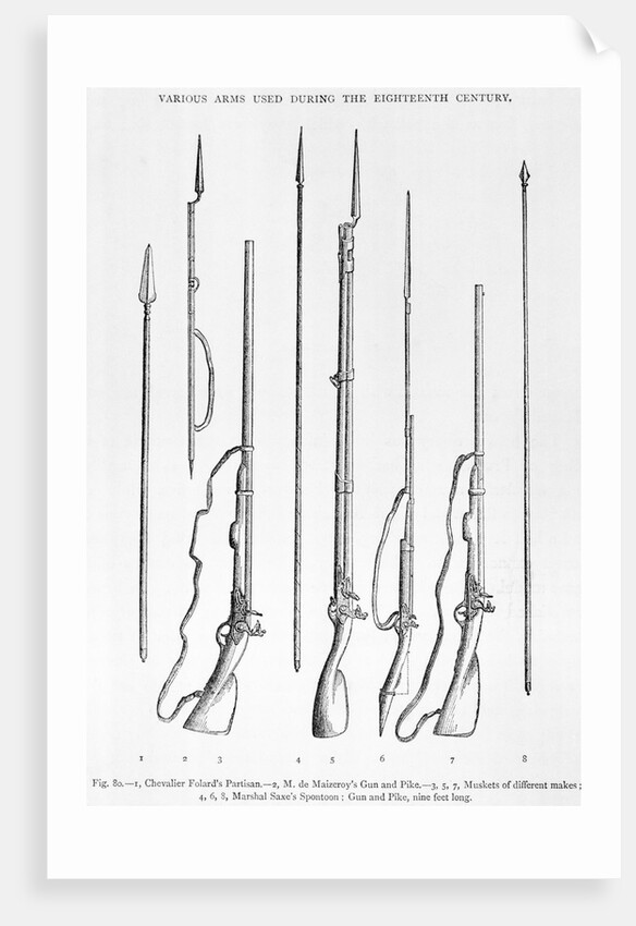 Illustration of 18th-Century Rifles and Other Weapons by Anonymous