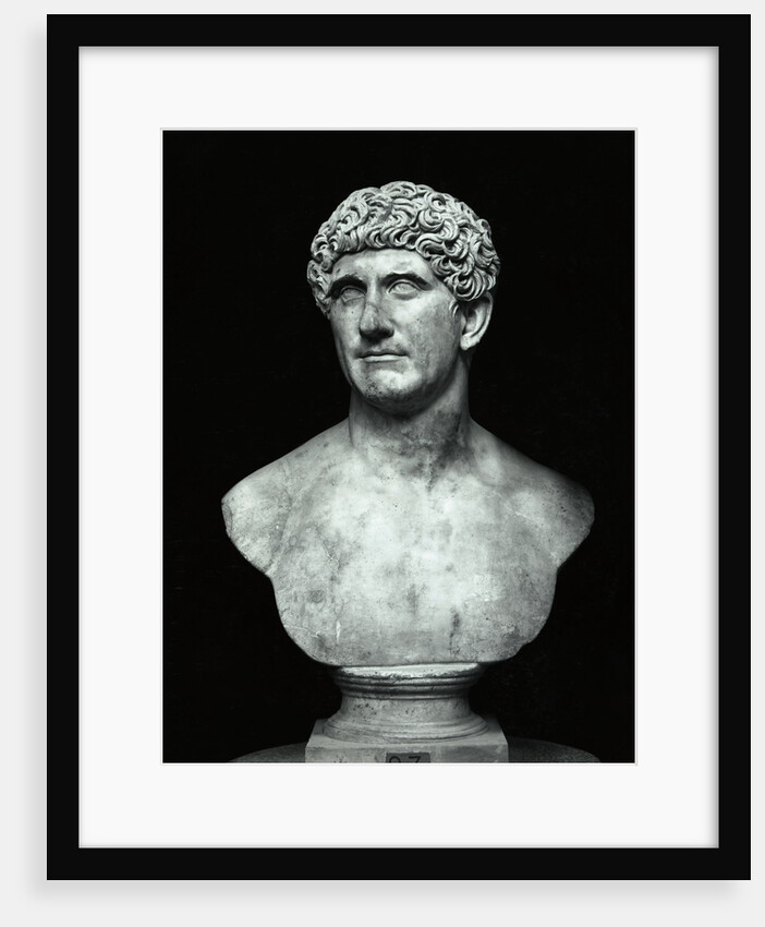 Bust of Marc Anthony by Anonymous