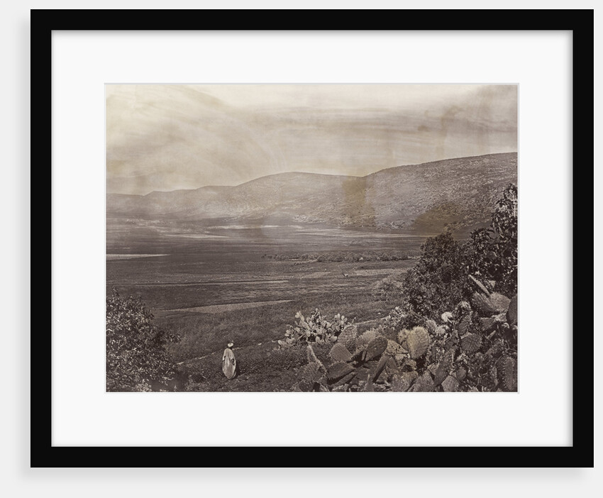 Palestinian Man Looks Out Over Plains by Anonymous