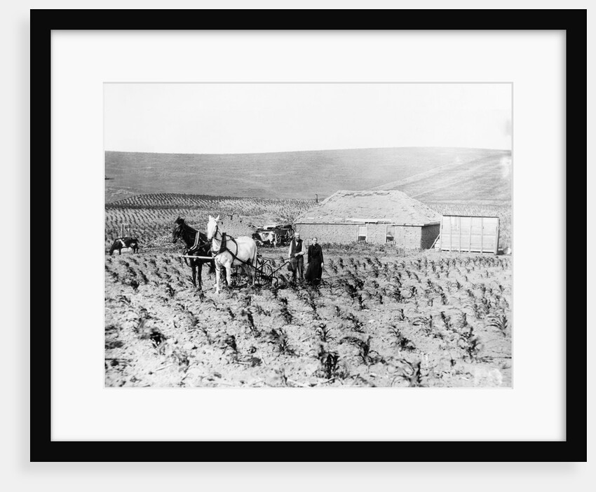 Man and Woman Farming by Anonymous