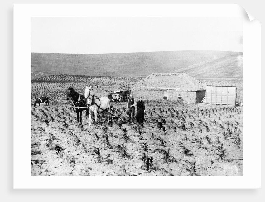 Man and Woman Farming by Anonymous