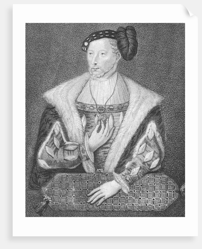 Portrait of James V, King of Scots by Anonymous