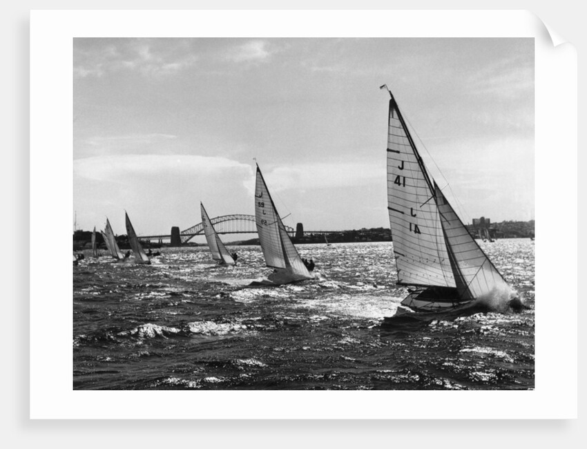 Small Boats Sailing on Sydney Harbor by Anonymous