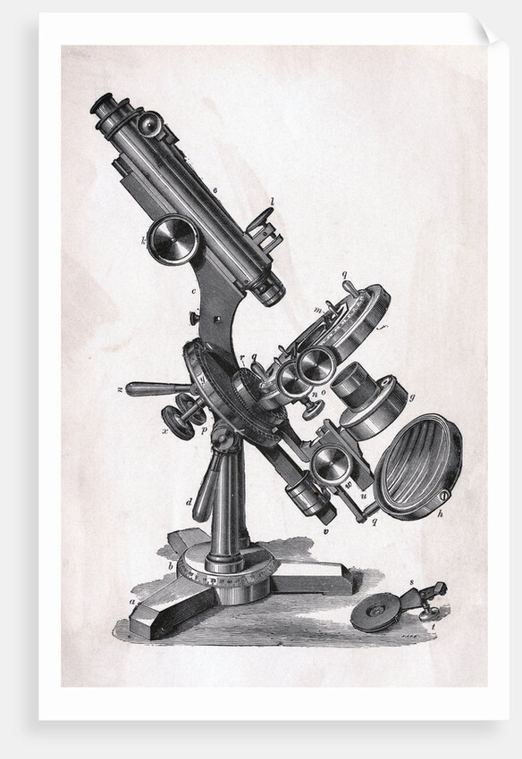 Early Microscope by Anonymous