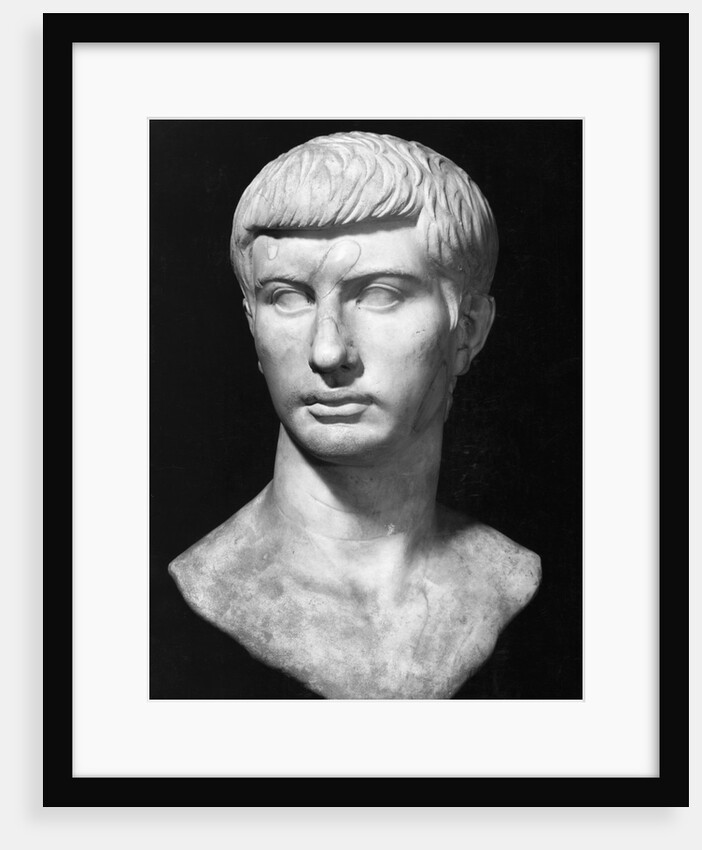 Bust of Brutus by Anonymous