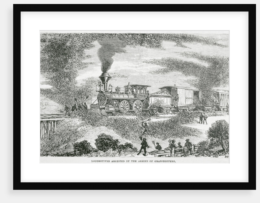 Hoard of Grasshoppers Flying Towards Train by Anonymous