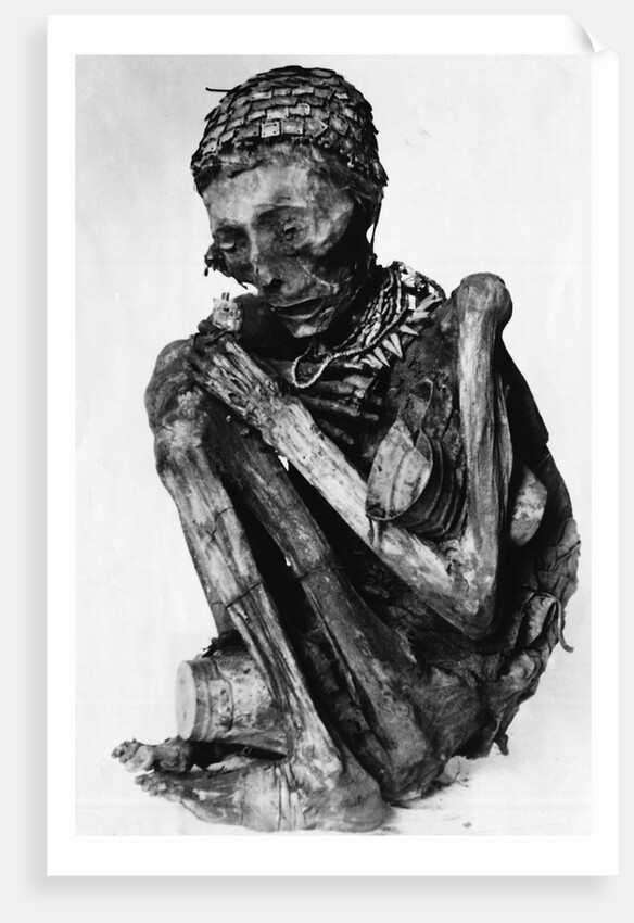 Incan Mummy by Anonymous