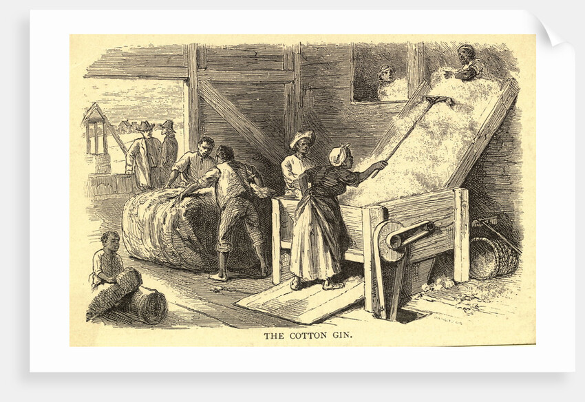 Early Illustration of the Cotton Gin by Anonymous