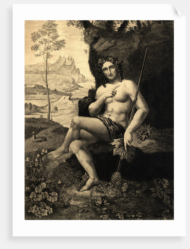 Illustrated Portrait of Bacchus by Anonymous