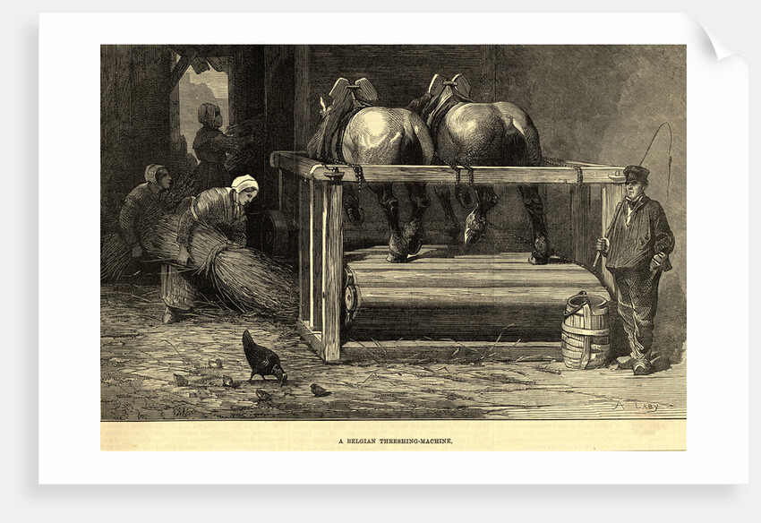 Horses on a Belgian Threshing Machine by Anonymous