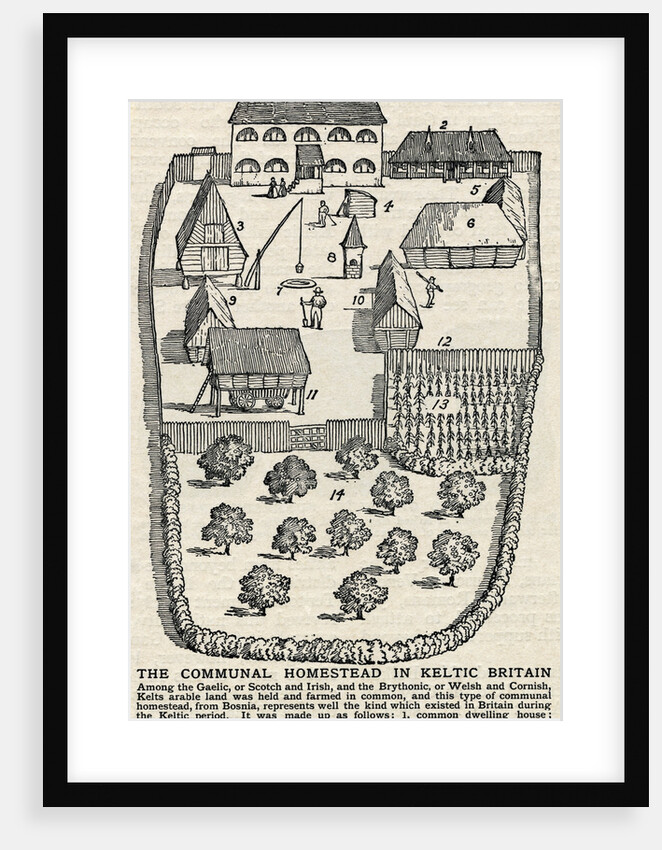 Diagram of Communal Homestead by Anonymous