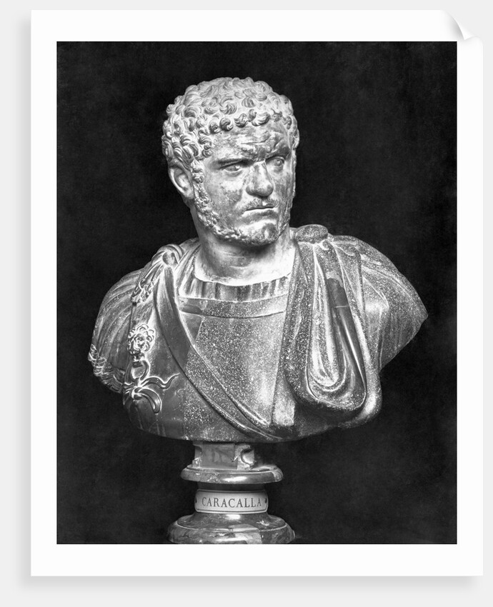 Imperial Roman Bust of Emperor Caracalla by Anonymous