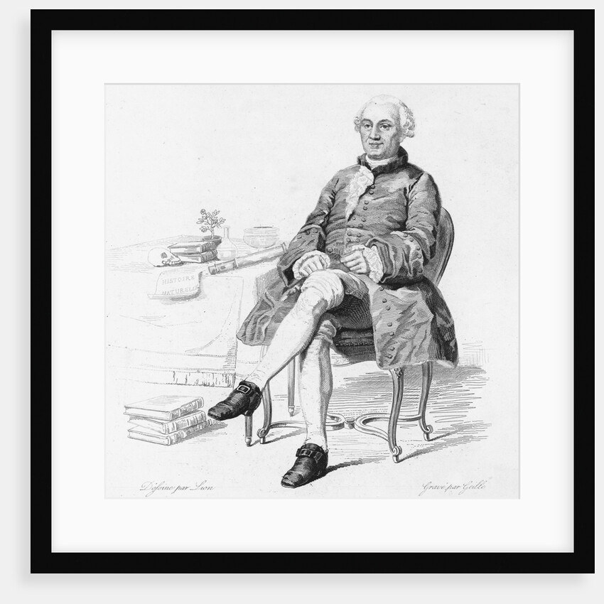 Portrait of Georges-Louis Leclerc Comte de Buffon by Anonymous