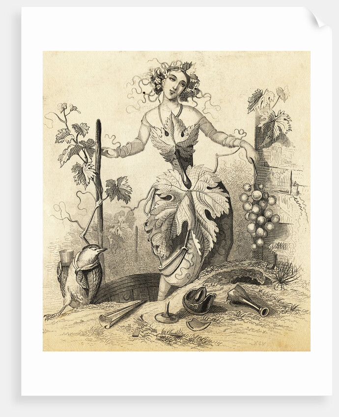 Woman Representing Grape Vine and Wine Making by Anonymous