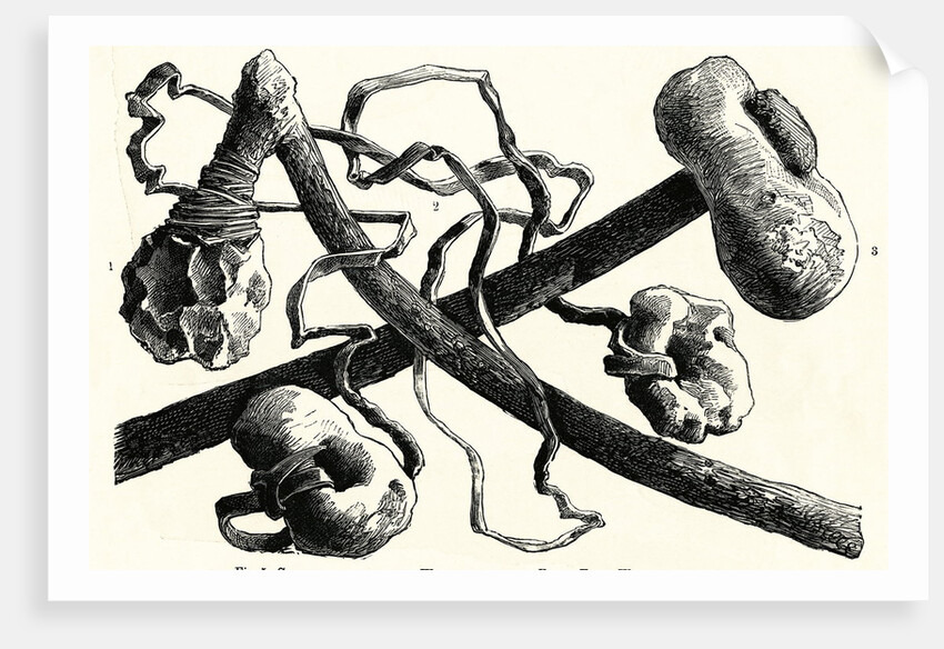 The Early Flint Weapons by Anonymous