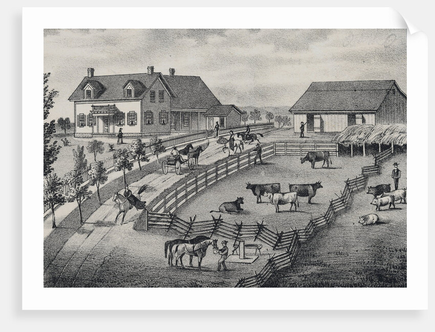 Farm Scene with Farm Animals by Anonymous
