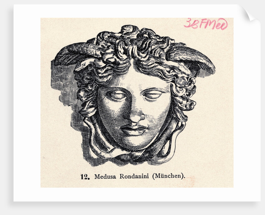 Illustration of Head of Medusa by Anonymous