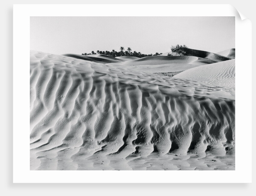 Sand Dunes with Oasis by Anonymous