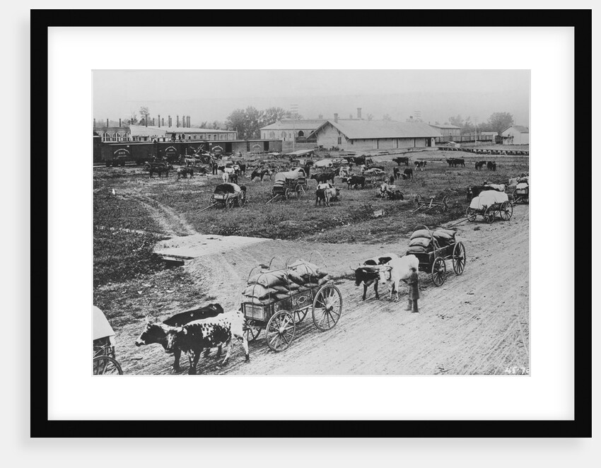 Homesteaders Getting Supplies by Anonymous