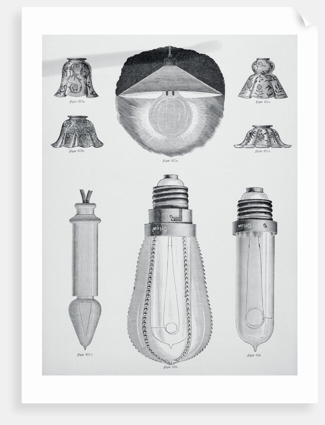 Light Bulbs on Display by Anonymous