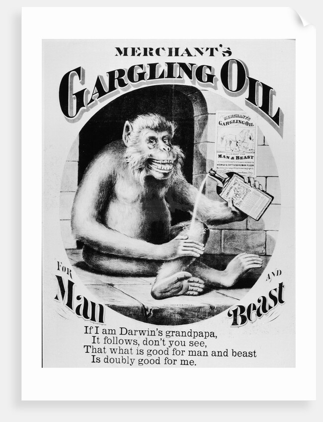 Advertisement for Merchant's Gargling Oil by Anonymous