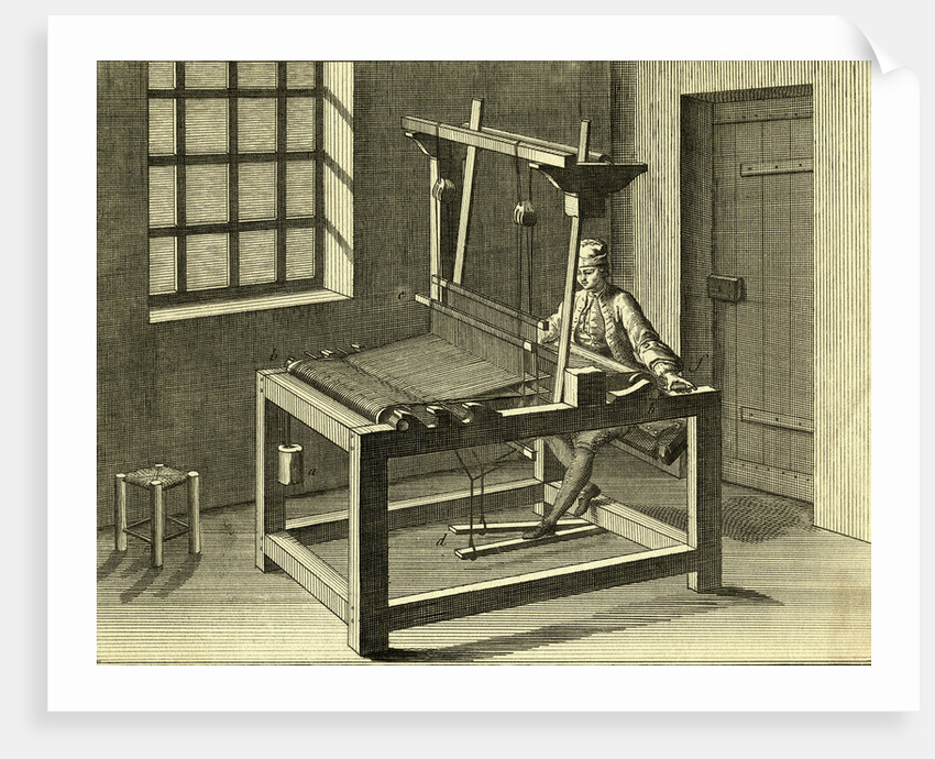 Cotton Weaver by Anonymous