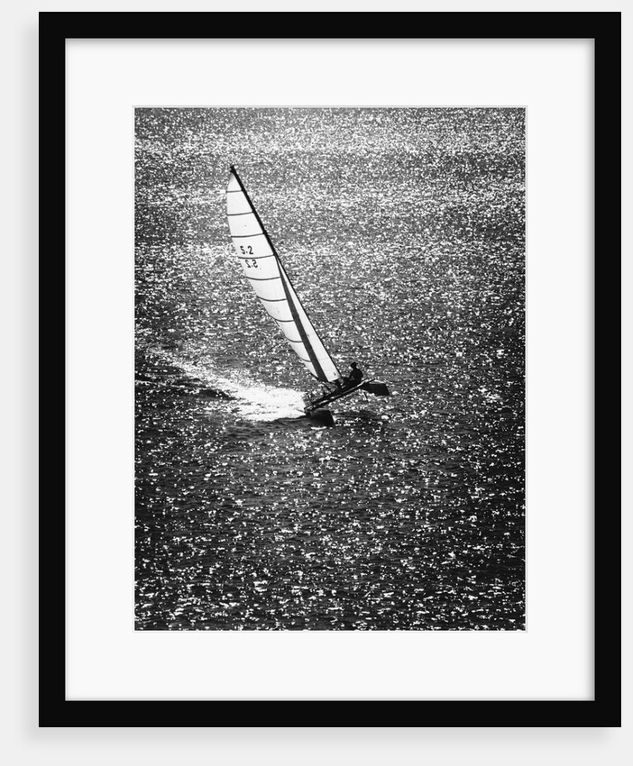 Catamaran Sailing in Mission Bay by Anonymous