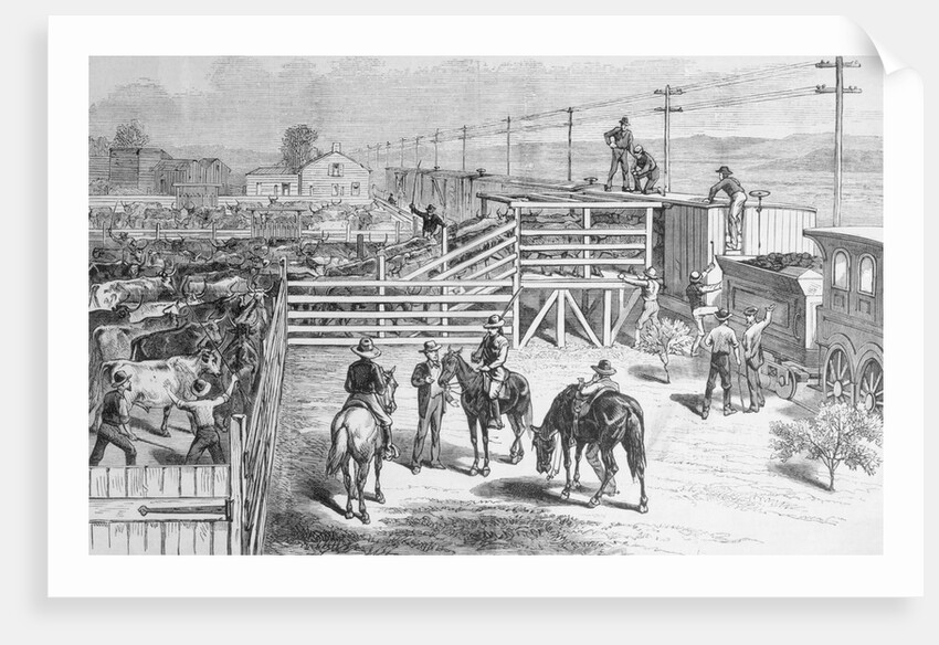 Herders Gathering Cattle for Shipment on Train by Anonymous