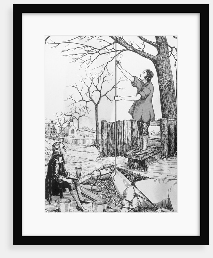 Stephen Hales Measuring Horse's Blood Pressure by Anonymous