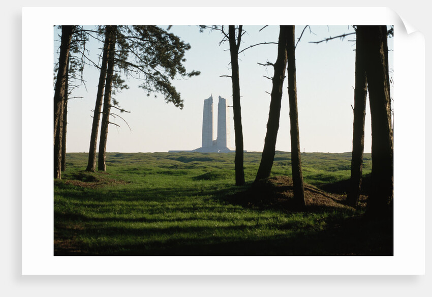 Grove of Trees at Vimy Memorial by Anonymous