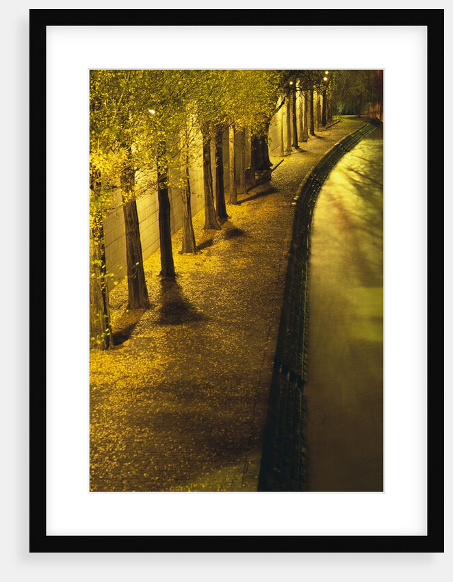 Trees Along the Seine River at Night by Anonymous