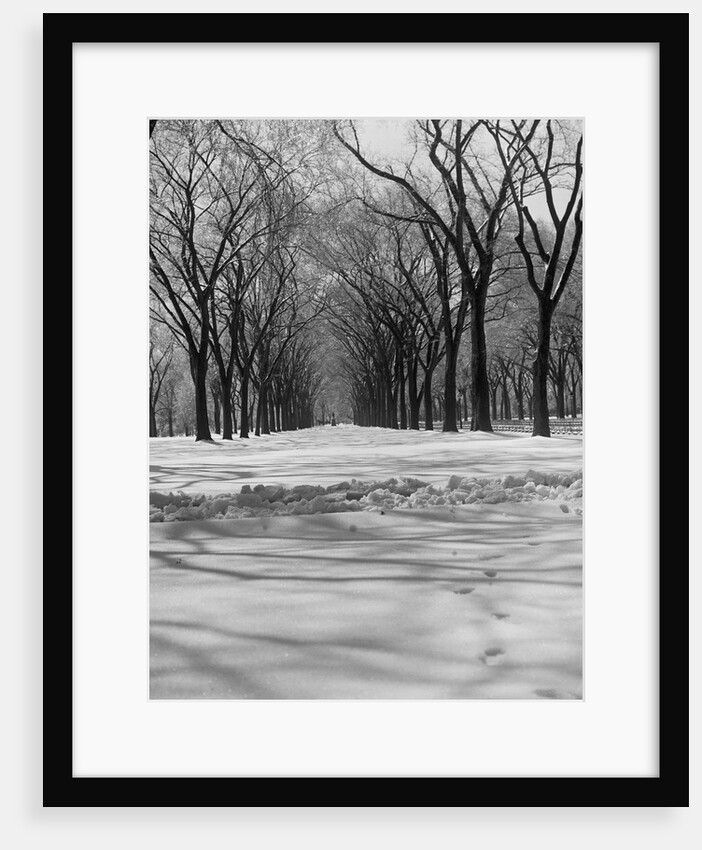 Central Park in Winter by Anonymous