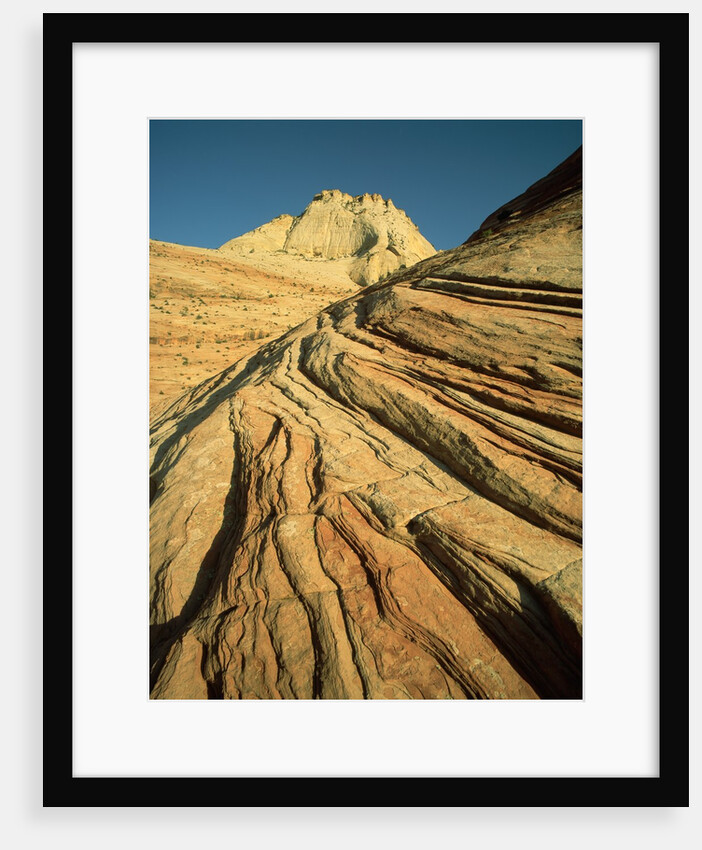 Cross-Bedded Sandstone in Zion National Park by Anonymous