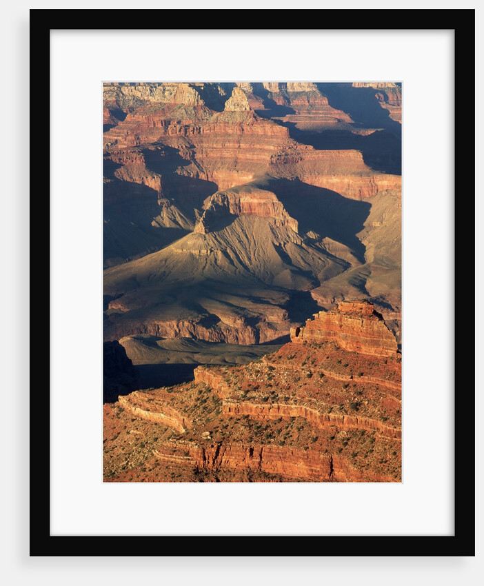 O'Neil Butte in the Grand Canyon by Anonymous