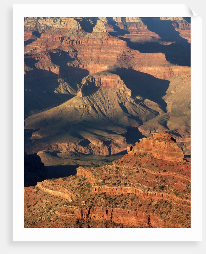 O'Neil Butte in the Grand Canyon by Anonymous