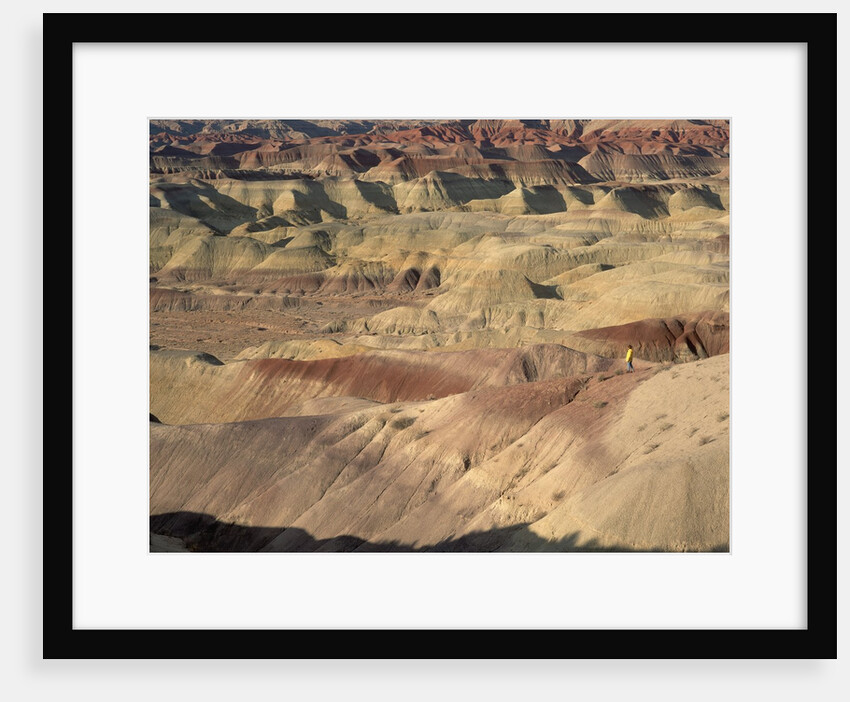 Hiker in the Badlands by Anonymous