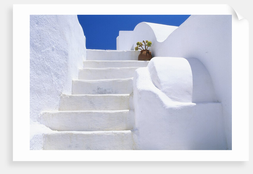 Potted Flowers On Staircase by Anonymous