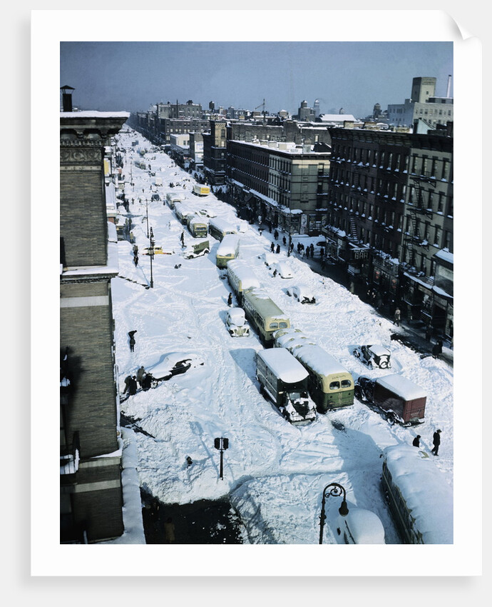 Snow Covered Street and Cars by Anonymous