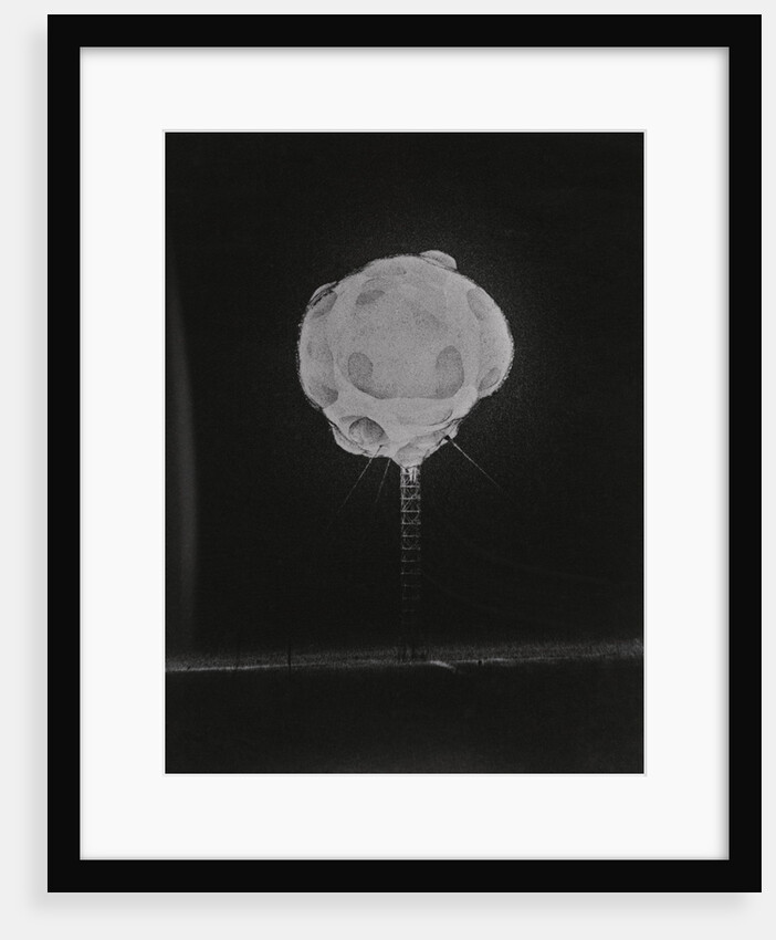High Speed Camera Capturing Explosion by Anonymous