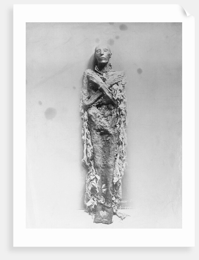 The Mummy of King Ramses by Anonymous