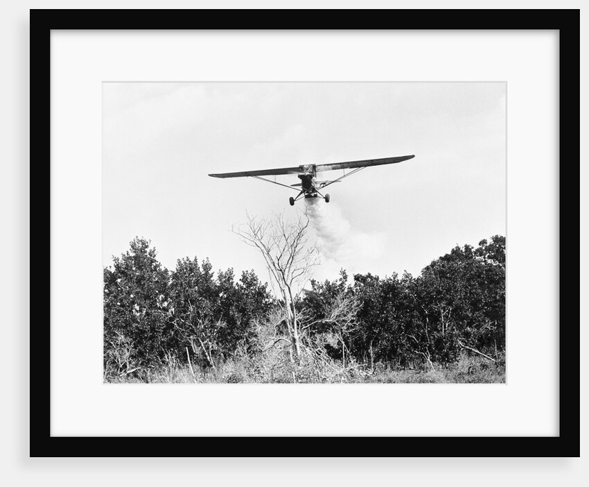 Airplane Dropping Cloud of Mosquito Insecticide by Anonymous