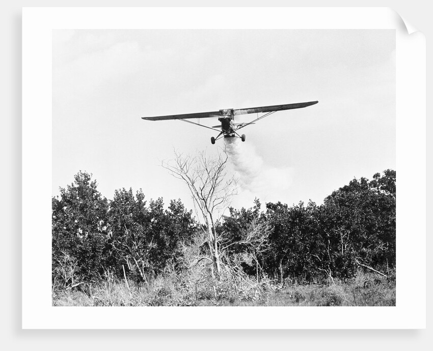 Airplane Dropping Cloud of Mosquito Insecticide by Anonymous