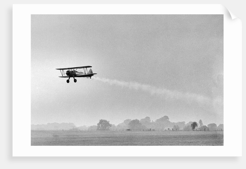 Plane Taking Off for DDT Dispersal Flight by Anonymous